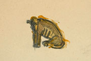 Schwarzes Eis, ZERN Gallery
