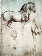 Leonardo, Study of Horse