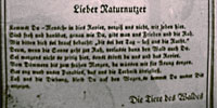 Gedicht von den Tieren des Waldes