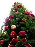 Christmas Tree (Quelle: Wikimedia Commons)