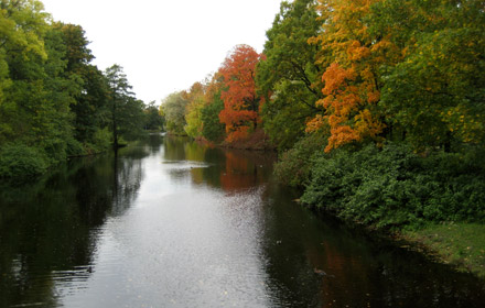 Im Kirow-Park auf der Jelagin-Insel